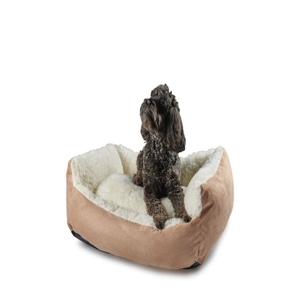 Merino wool Dog bed - Cosy